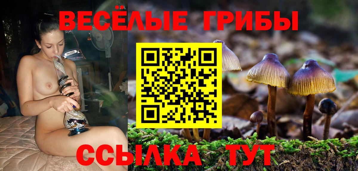 Псилоцибиновые грибы мухоморы  Галлюциногенные грибы Psilocybe  где купить наркоту  Вход с VPN  Бугуруслан 