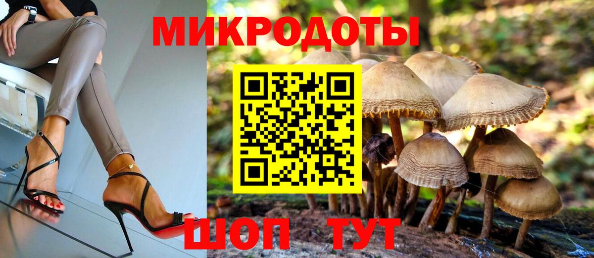 Псилоцибиновые грибы GOLDEN TEACHER Бугуруслан